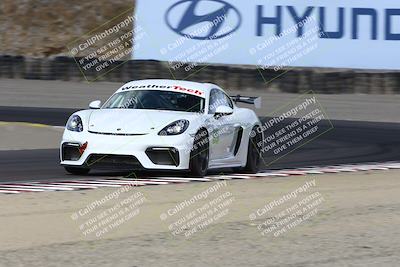 media/Aug-23-2024-Speed Ventures (Fri) [[92f1efc5e7]]/Red/Session 1 (Turn 3)/